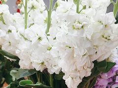 -花心思鲜花店(武昌徐东店)