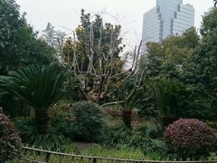 -苏州河梦清园环保主题公园