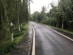 -白鹭湾湿地公园