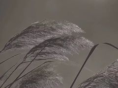-大桶大足浴(陈春路店（3公里左右免费接送）)