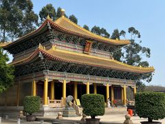 -广东圆玄道观