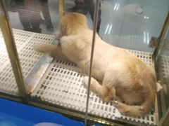 -乐宠宠物店(世纪金源店)