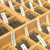 深圳人的下午茶/戏精们都爱喝的高颜值🍵