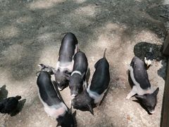 -昆山城市生态森林公园