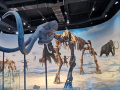 -辽宁古生物博物馆