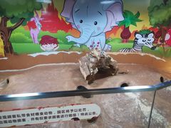 -秦皇岛新澳海底世界