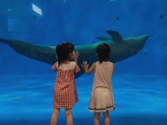 -华夏文旅海洋公园