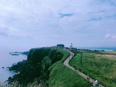 -涉地可支