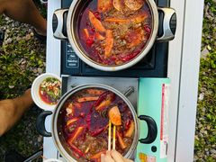 -武陵山森林公园