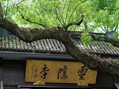 -灵顺寺