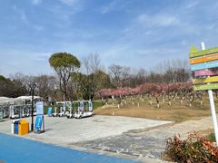 -七桥瓮公园