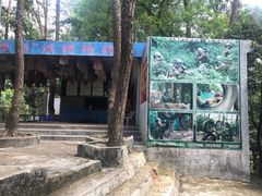 景点-广州市流溪河国家森林公园