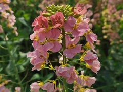 -中国天府农业博览园