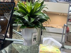 -三叶眼镜城批发市场(上海火车站店)