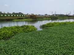 -那考河湿地公园