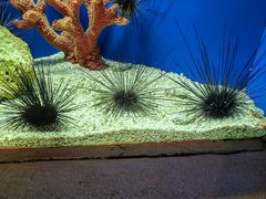 -上海海洋水族馆