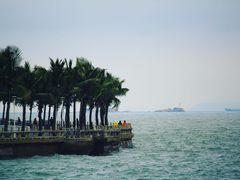 -港珠澳大桥(珠海段)