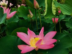 -厦门国家会计学院