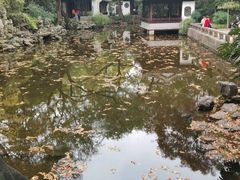 -秋霞圃