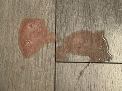 -宠福鑫动物医院·动物疾病诊疗中心(天通苑店)