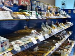 -Animate(工人体育场东路店)