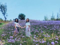 -泰山天颐湖旅游度假区