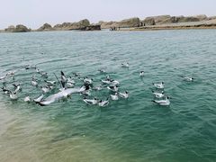 -东台吉乃尔湖
