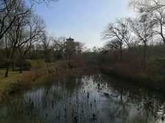 -思念果岭悦温泉