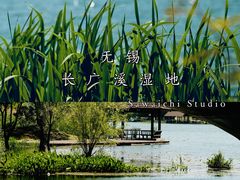-长广溪湿地公园