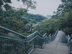 -佛山华盖山公园