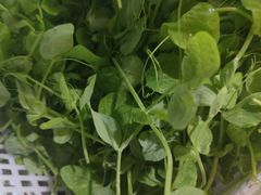 -金鼎雪山牦牛杂火锅(理县总店)