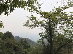 -火炉山森林公园