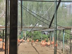 -郑州市动物园