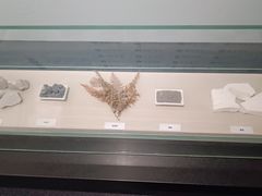 -广西壮族自治区博物馆