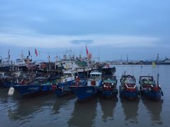 -沈家门海鲜夜排档(东港店)