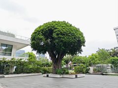 -广州白天鹅宾馆