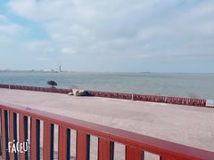-上海滨江森林公园