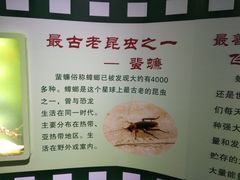 -上海昆虫博物馆
