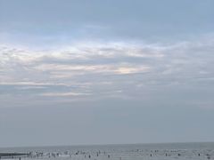 -南汇新城海滩