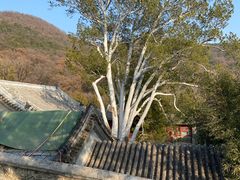 -潭柘寺景区