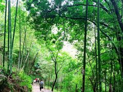 -千泷沟大瀑布旅游区