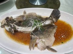 清蒸石斑鱼-金时代顺风大酒店(协泰店)