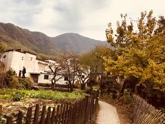 -塔川景区