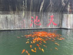 -千岛湖东南湖区