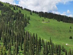 -新疆那拉提国家旅游度假区