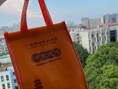 -龙华素斋(龙华路店)