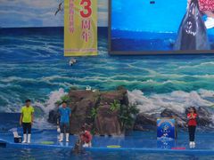 -多彩贵州城极地海洋世界