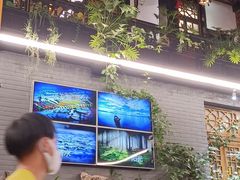-蔼若春.传承三十年云南菜(金碧公园店)
