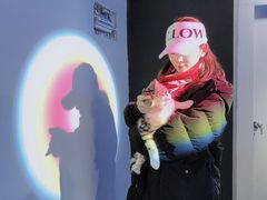 -极木²邸 人与宠物·互动社区
