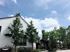 -梁鸿国家湿地公园